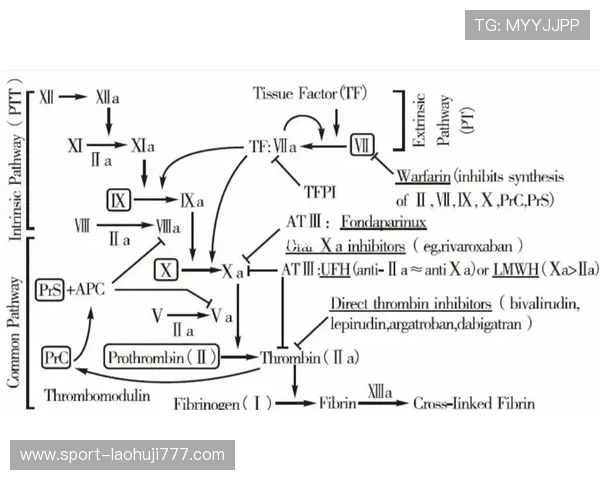 深入理解PT电子结构对提升游戏性能的关键作用与实际操作指南